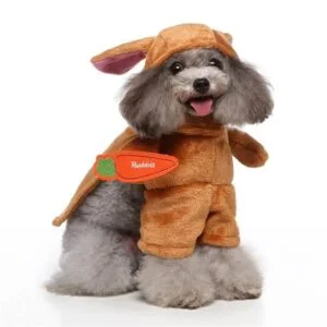 Rabbit dog Halloween costume (8)