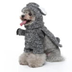 Raccoon dog Halloween costume (3)