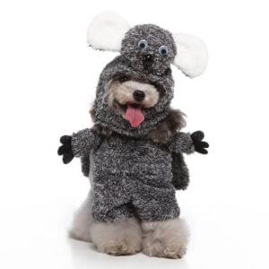 Raccoon dog Halloween costume (6)