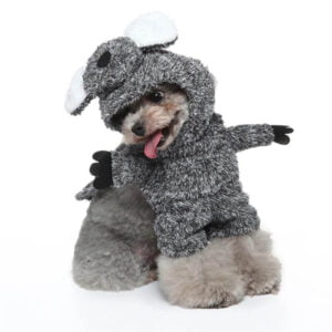 Raccoon dog Halloween costume (7)