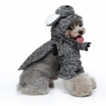 Raccoon dog Halloween costume (8)