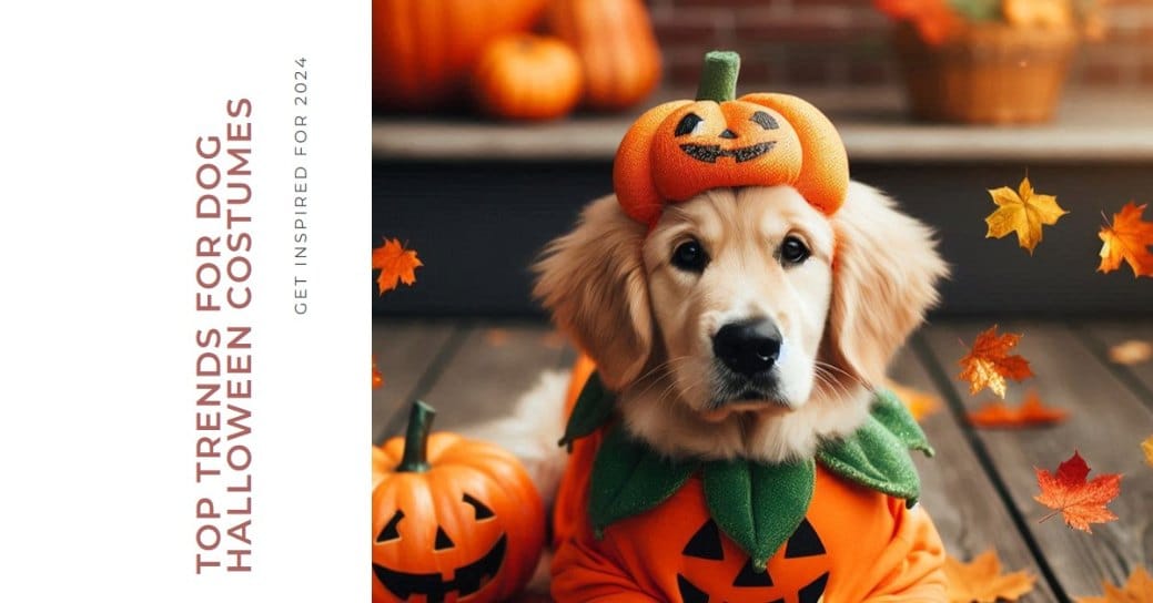 Pets Halloween Costume Ideas: Top Trends for 2024