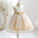 Champagne Lace & Tulle Flower Girl Dress (1)