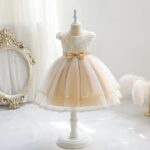 Champagne Lace & Tulle Flower Girl Dress (3)