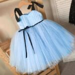 Pearl-Adorned Pleated Tulle Dress - blue