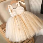 Pearl-Adorned Pleated Tulle Dress - champagne