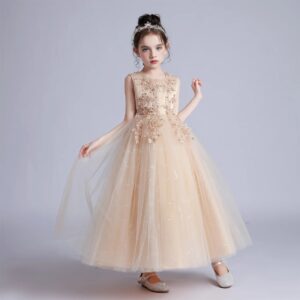 Champagne Embroidered Lace & Tulle Ball Gown for Special Occasions (1)