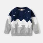 Kids Christmas jumper in navy, white and grey with polar bear, snowy mountains, pine trees and snowflake design.